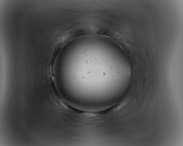 X0000087000528200704161526