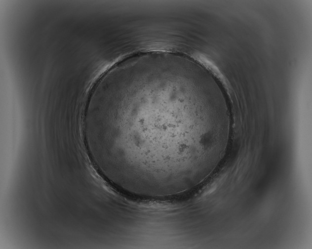 X0000087000529200704161525