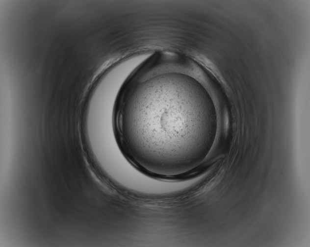 X0000087000530200704161525