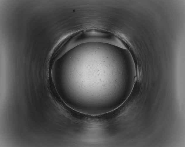 X0000087000531200704161525