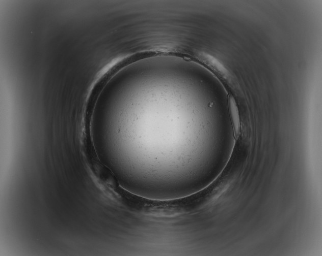 X0000087000532200704161525