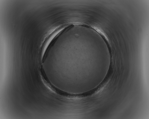 X0000087000533200704161525