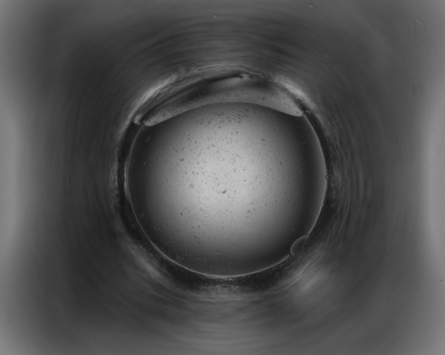 X0000087000535200704161525