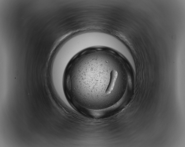 X0000087000536200704161525