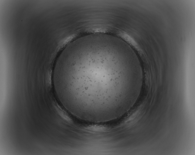 X0000087000537200704161525
