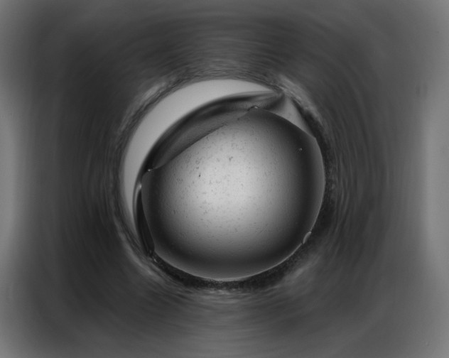 X0000087000538200704161525