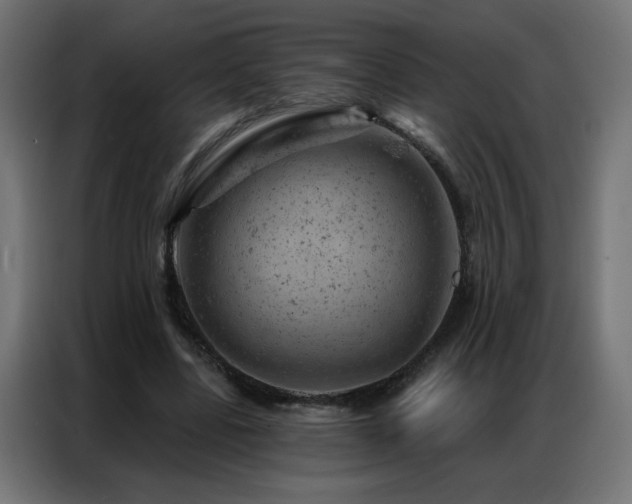 X0000087000539200704161525