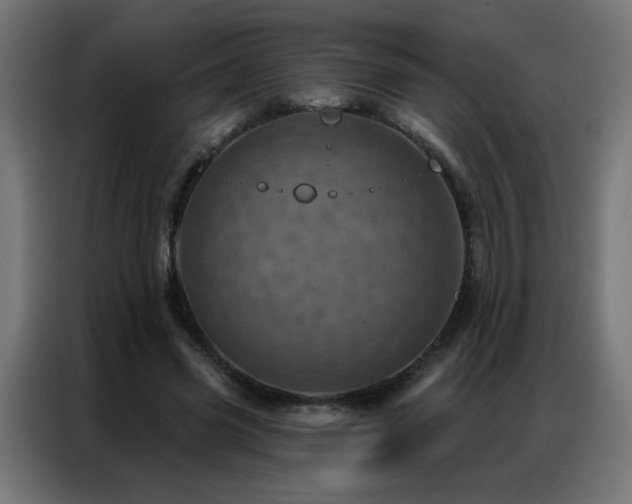 X0000087000541200704161525