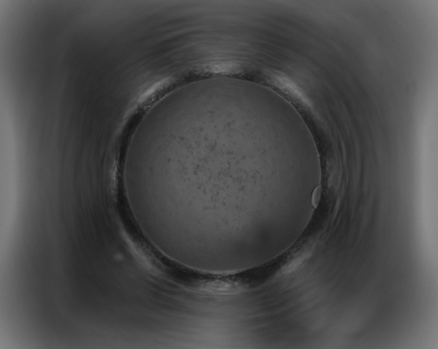 X0000087000542200704161525