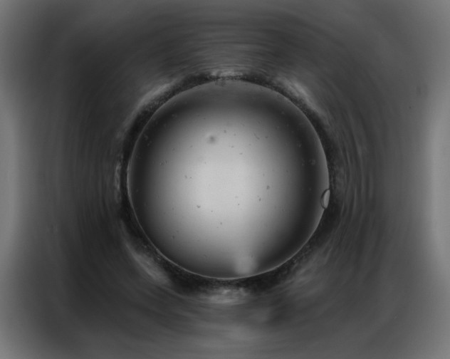 X0000087000543200704161525