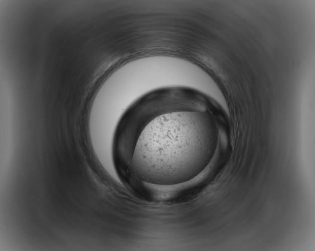 X0000087000544200704161525