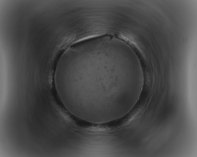 X0000087000545200704161525