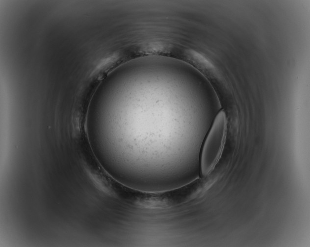 X0000087000546200704161525