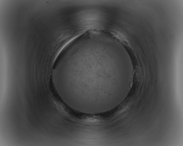X0000087000550200704161525