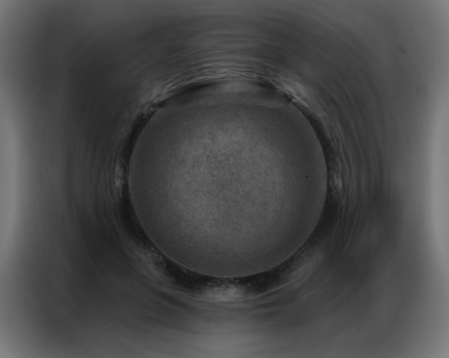 X0000087000551200704161525