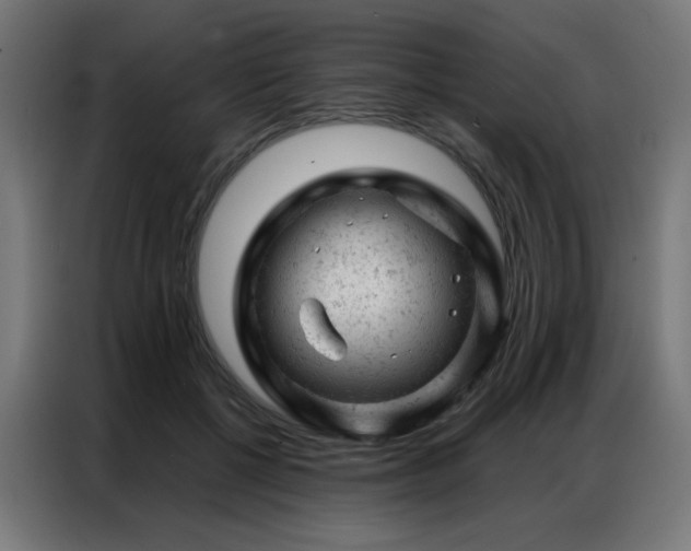 X0000087000552200704161525
