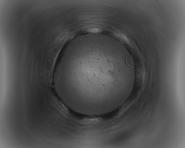 X0000087000553200704161525