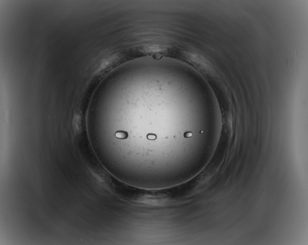 X0000087000556200704161526