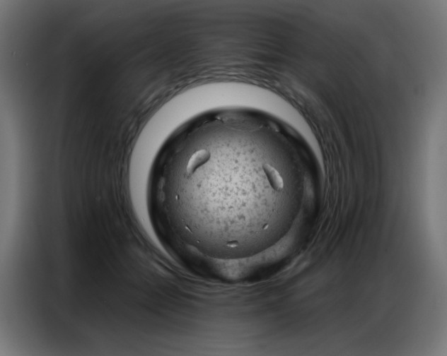 X0000087000558200704161526