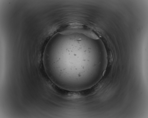 X0000087000559200704161526