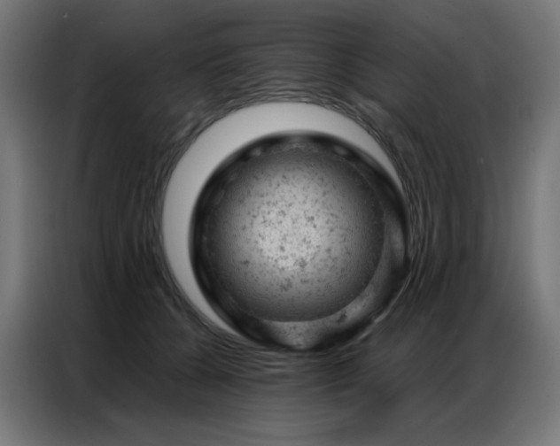 X0000087000560200704161526