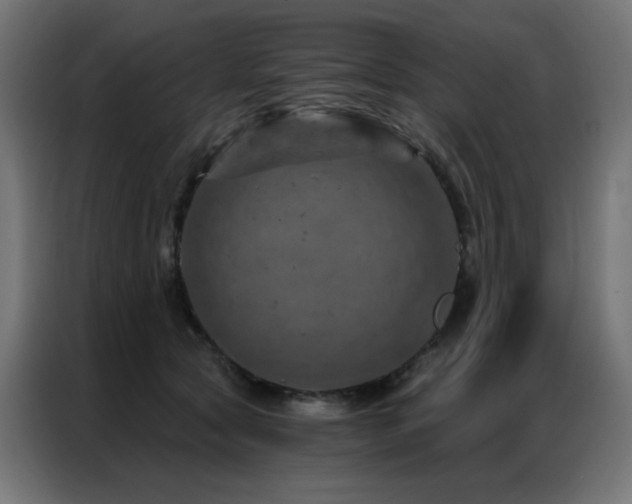 X0000087000561200704161526