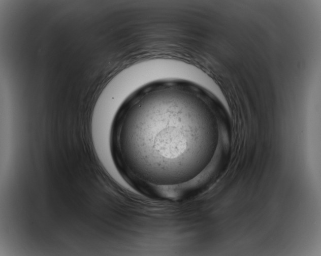 X0000087000562200704161526