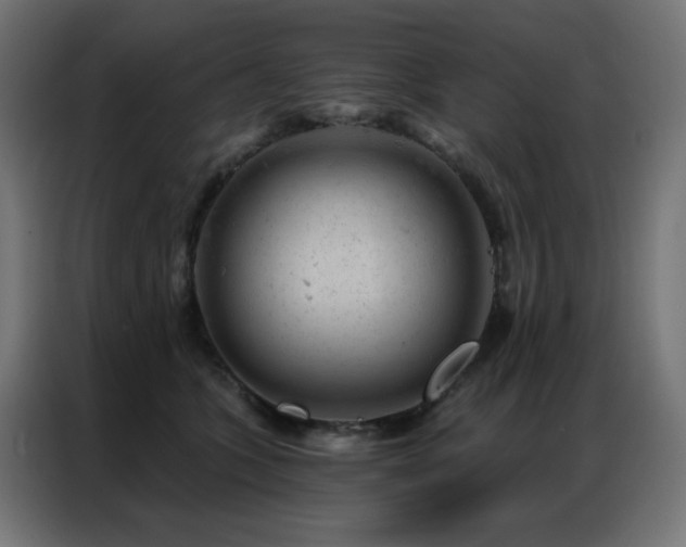 X0000087000563200704161526