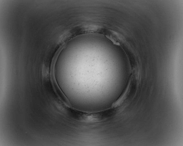 X0000087000564200704161526