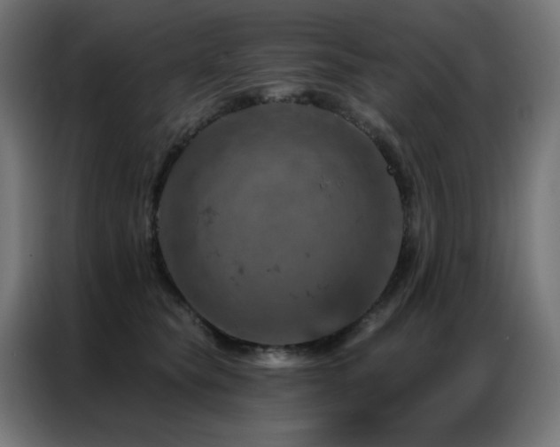 X0000087000565200704161526