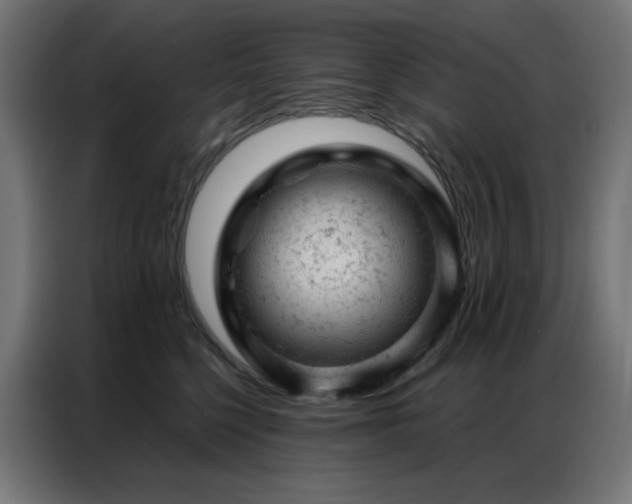 X0000087000568200704161526