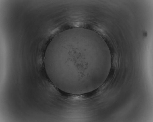 X0000087000569200704161526