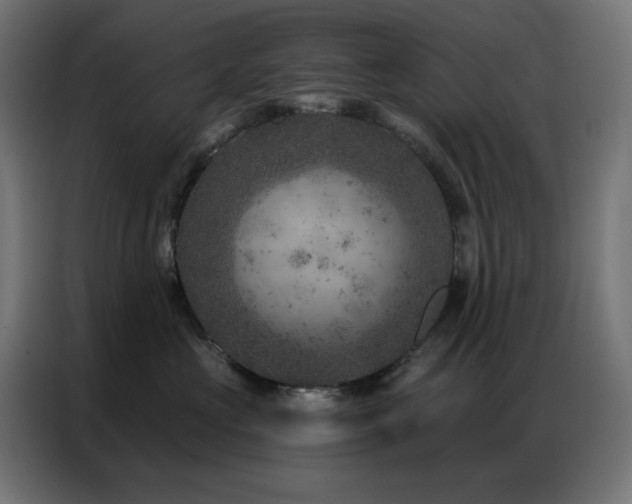 X0000087000573200704161526