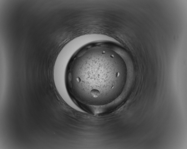 X0000087000576200704161526