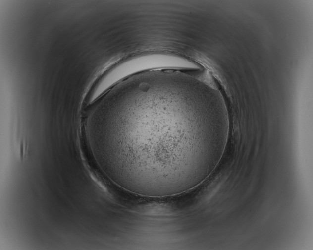 X0000087000578200704161525