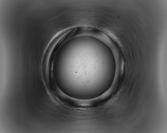 X0000087000580200704161525
