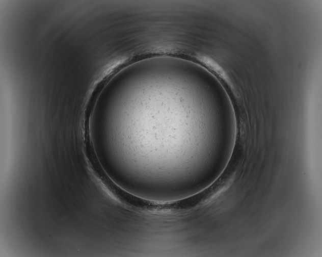 X0000087000581200704161525