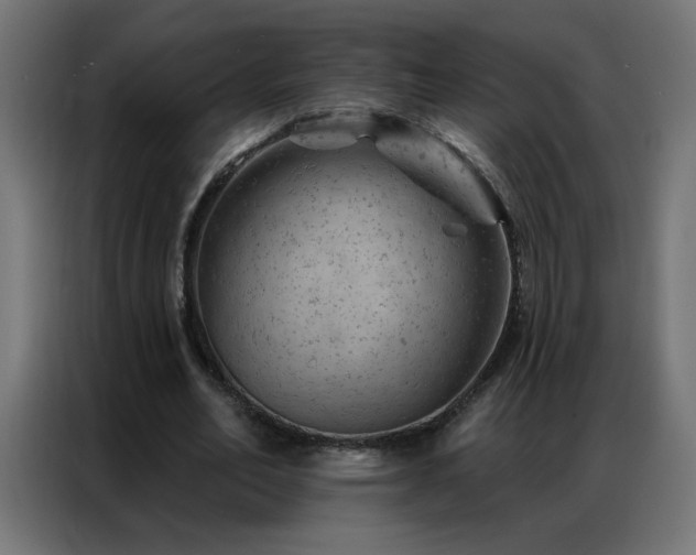 X0000087000582200704161525