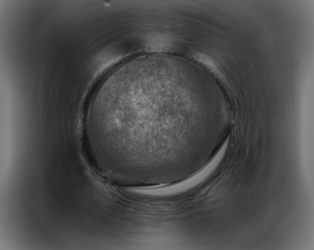 X0000087000583200704161525