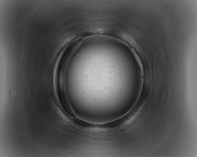 X0000087000585200704161525