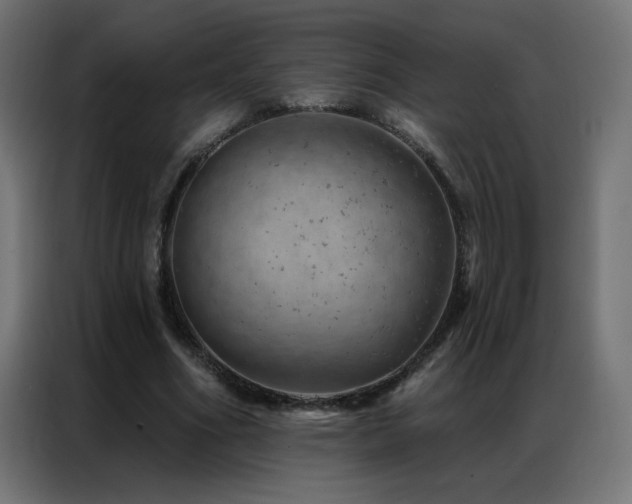 X0000087000586200704161525