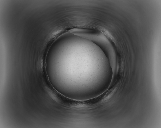 X0000087000589200704161525