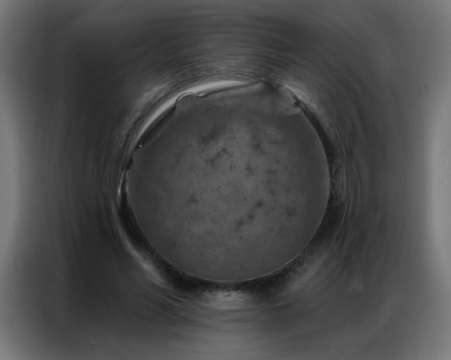 X0000087000590200704161525