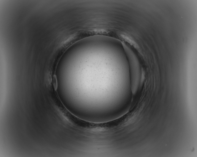 X0000087000593200704161525