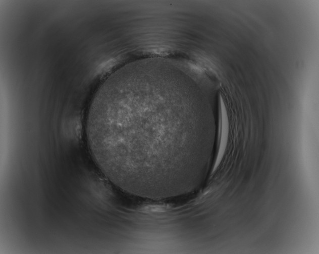 X0000087000595200704161525