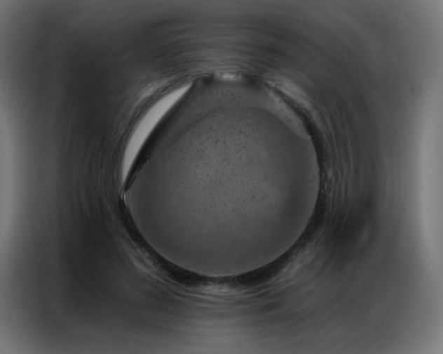 X0000087000596200704161525