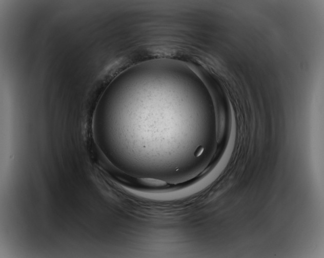 X0000087000600200704161525