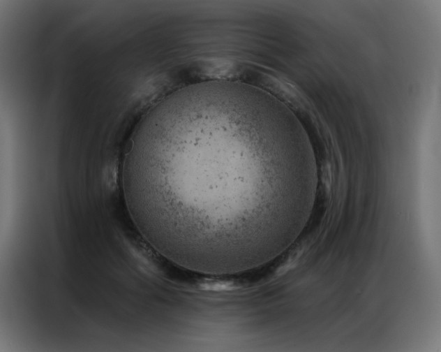 X0000087000602200704161525