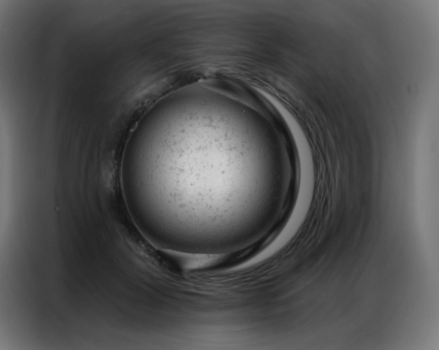 X0000087000604200704161525