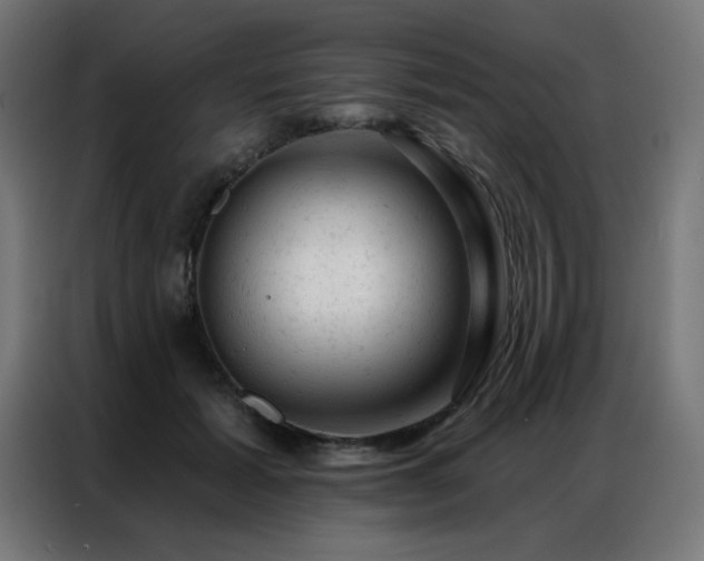 X0000087000605200704161525